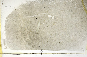 Plane Polarized, S89092