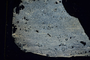 Cross Polarized, S89094