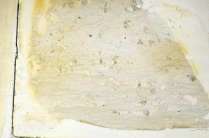 Plane Polarized, S89094