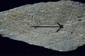 Cross Polarized, S89096