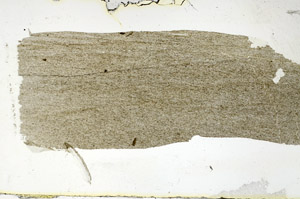 Plane Polarized, S89097