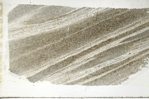 Plane Polarized, S89099