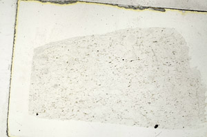 Plane Polarized, S89102