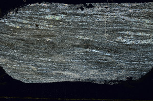 Cross Polarized, S89103