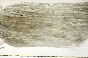 Plane Polarized, S89103