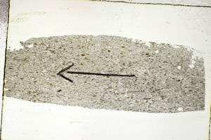 Plane Polarized, S89104