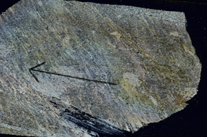 Cross Polarized, S89106