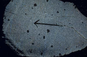 Cross Polarized, S89108