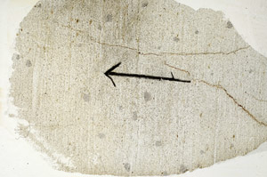 Plane Polarized, S89108