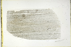 Plane Polarized, S89113