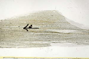 Plane Polarized, S89115