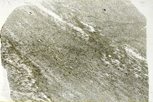 Plane Polarized, S89125