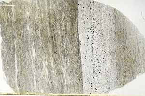 Plane Polarized, S89126