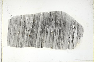 Plane Polarized, S89128
