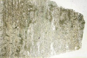 Plane Polarized, S89131