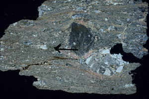 Cross Polarized, S89133