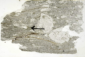 Plane Polarized, S89133