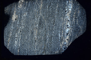 Cross Polarized, S89135