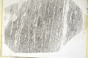 Plane Polarized, S89135