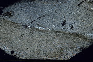 Cross Polarized, S89137
