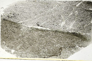 Plane Polarized, S89137
