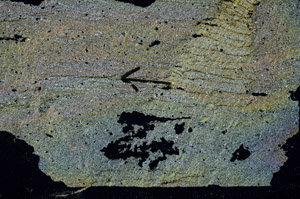 Cross Polarized, S89138