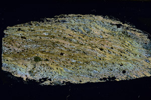 Cross Polarized, S89141