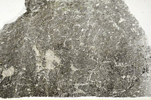Plane Polarized, S89142