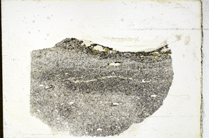Plane Polarized, S89144