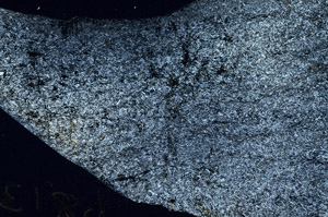 Cross Polarized, S89146
