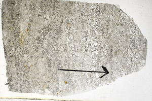 Plane Polarized, S89147