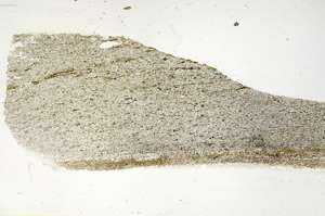 Plane Polarized, S89148
