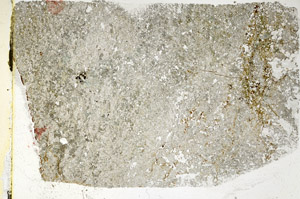 Plane Polarized, S89158