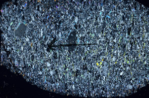 Cross Polarized, S89159