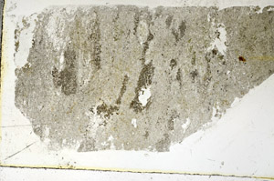 Plane Polarized, S89160