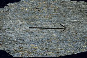 Cross Polarized, S89161