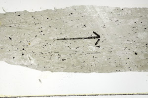Plane Polarized, S89162
