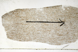 Plane Polarized, S89163