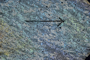 Cross Polarized, S89164