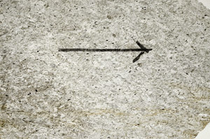 Plane Polarized, S89164