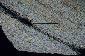 Cross Polarized, S89166