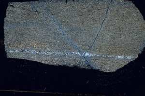 Cross Polarized, S89168