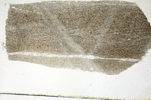 Plane Polarized, S89168