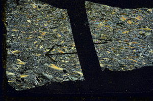 Cross Polarized, S89169