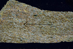 Cross Polarized, S89170