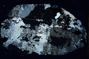 Cross Polarized, S89171