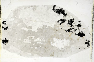 Plane Polarized, S89171