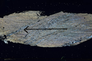 Cross Polarized, S89176
