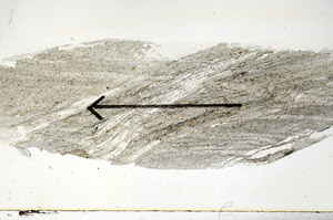 Plane Polarized, S89176