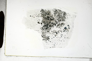 Plane Polarized, S89183